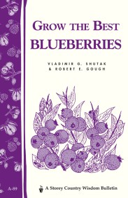 Grow the Best Blueberries