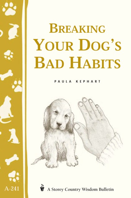 Breaking Your Dog’s Bad Habits