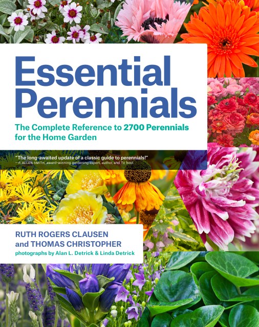 Essential Perennials