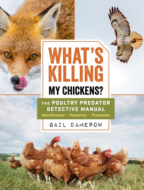 What’s Killing My Chickens?