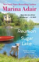 Reunion in Sugar Lake (previously published as A Taste of Sugar)